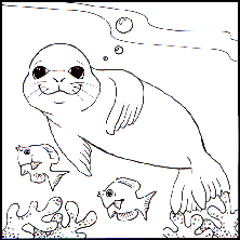 seal print.pdf